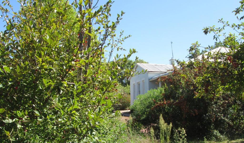 Impangele Guest House Swellendam Quarto foto